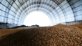 Egypt stocking up on Russian wheat – media